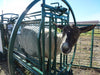 Spin Trim Chute - Lakeland Deluxe Spin Trim Chute - Lakeland Farm and Ranch
