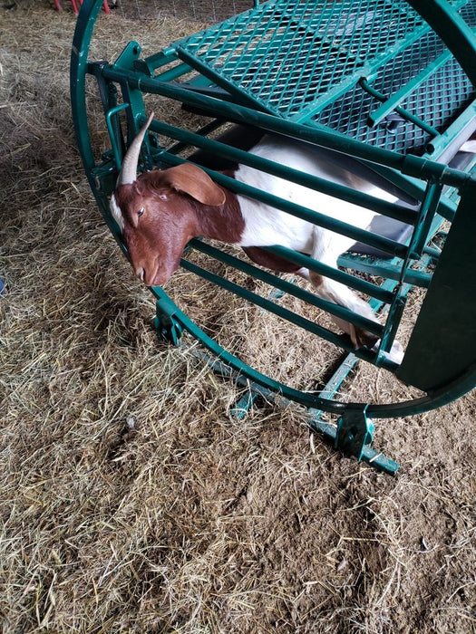 Spin Trim Chute - Lakeland Deluxe Spin Trim Chute - Lakeland Farm and Ranch