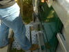 Sheep and Goat Handling Equipment - Lakeland Easy Klamp Sheep & Goat Handler - Lakeland Farm and Ranch