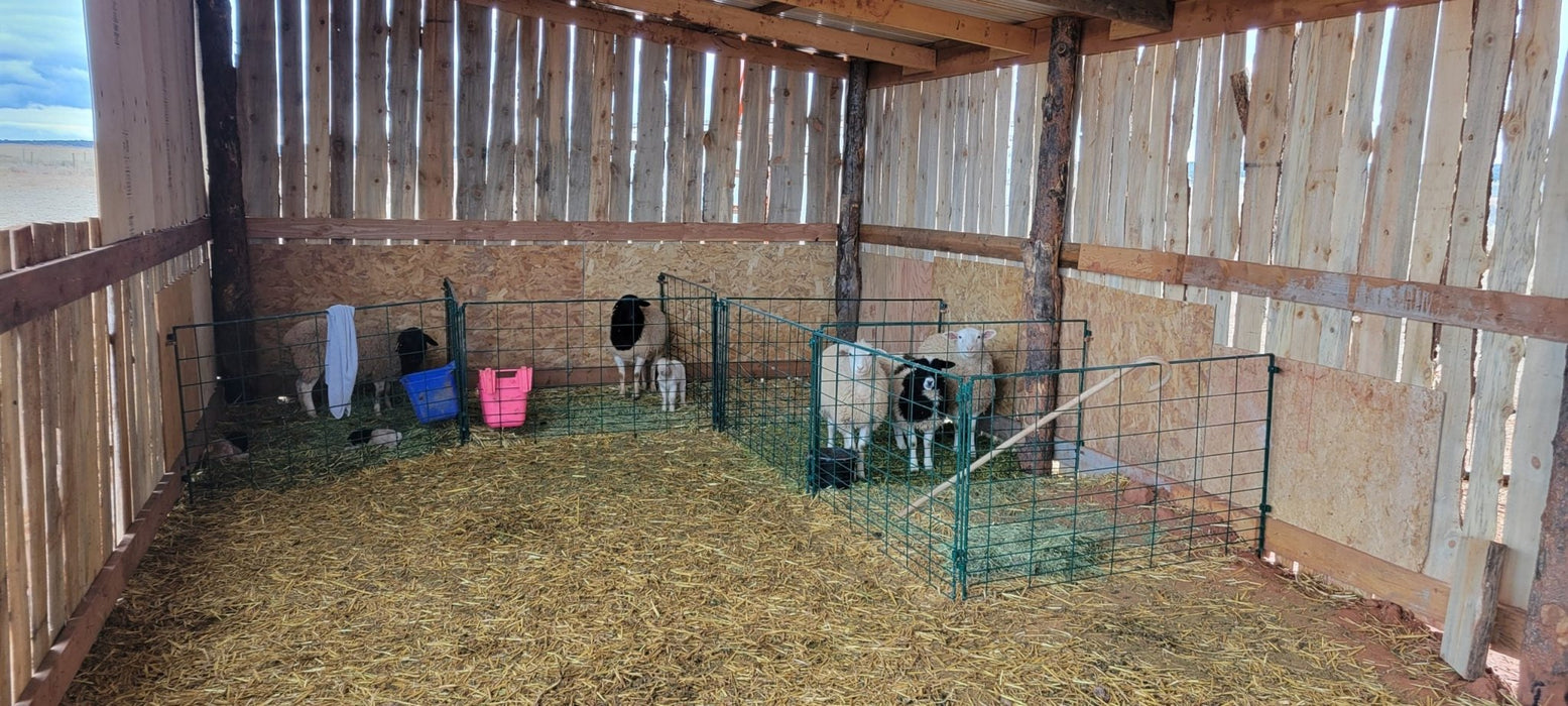 Lambing & Kidding - Lakeland Economy Lambing & Kidding Pen Panels - Lakeland Farm and Ranch