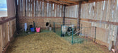 Lambing & Kidding - Lakeland Economy Lambing & Kidding Pen Panels - Lakeland Farm and Ranch