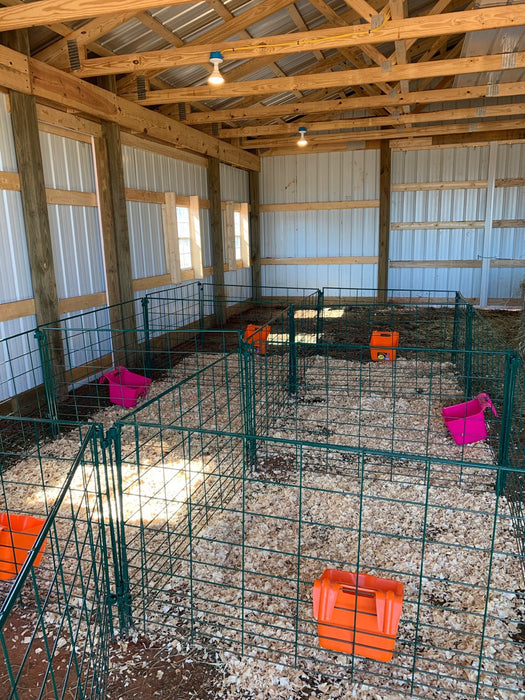 Lambing & Kidding - Lakeland Economy Lambing & Kidding Pen Panels - Lakeland Farm and Ranch