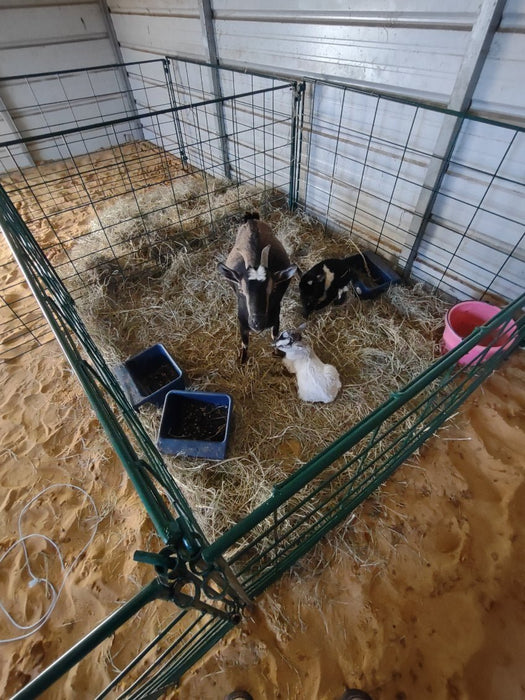 Lambing & Kidding - Lakeland Economy Lambing & Kidding Pen Panels - Lakeland Farm and Ranch