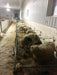 Lambing & Kidding - Lakeland Economy Lambing & Kidding Pen Panels - Lakeland Farm and Ranch