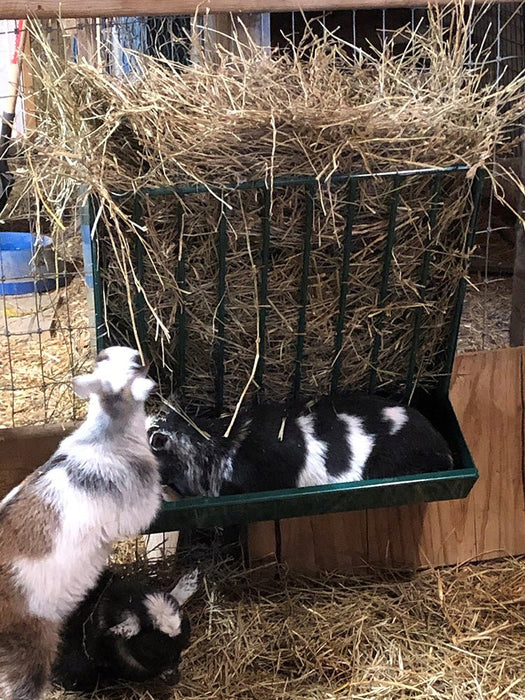 Hay Racks & Troughs - Lakeland Hanging Hay Rack with Trough - Lakeland Farm and Ranch