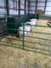 Fence Line Feeders - Lakeland Hay & Grain Fenceline Feeder - Lakeland Farm and Ranch