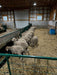 Fence Line Feeders - Lakeland Hay & Grain Fenceline Feeder - Lakeland Farm and Ranch