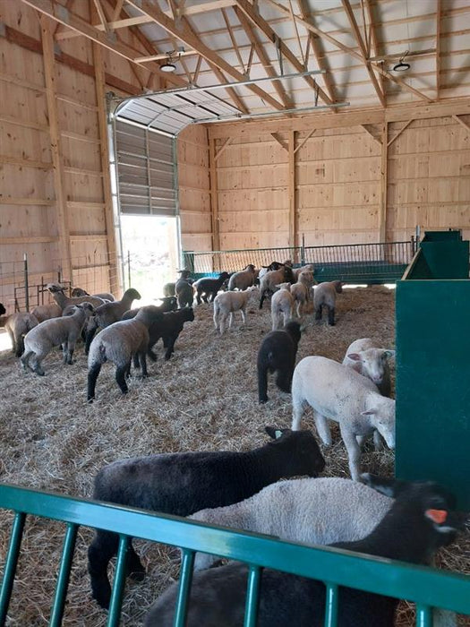 Fence Line Feeders - Lakeland Hay & Grain Fenceline Feeder - Lakeland Farm and Ranch