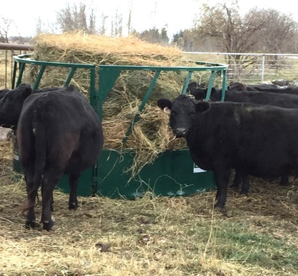 Bale Feeders - Lakeland Heavy Duty Slant Bar Round Bale Feeder - Lakeland Farm and Ranch