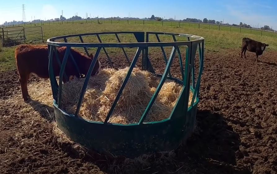Bale Feeders - Lakeland Heavy Duty Slant Bar Round Bale Feeder - Lakeland Farm and Ranch