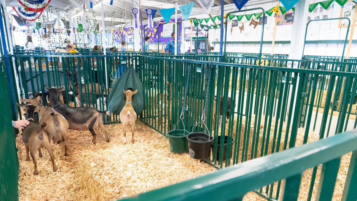 Panels & Gates - Lakeland Heavy Duty Spindle Penning Panel - Lakeland Farm and Ranch