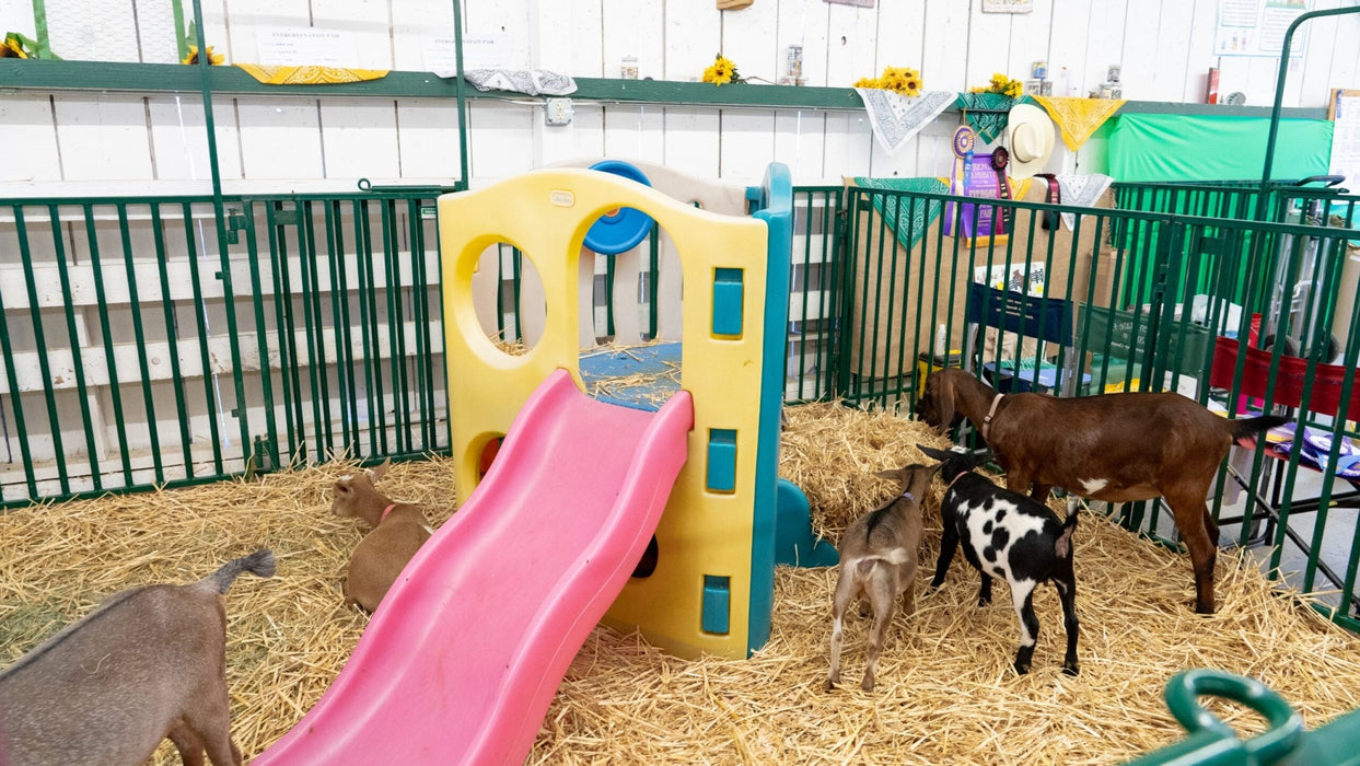Panels & Gates - Lakeland Heavy Duty Spindle Penning Panel - Lakeland Farm and Ranch