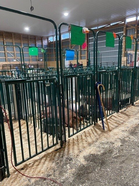 Panels & Gates - Lakeland Heavy Duty Spindle Penning Panel - Lakeland Farm and Ranch