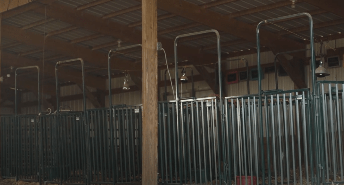 Panels & Gates - Lakeland Heavy Duty Spindle Penning Panel - Lakeland Farm and Ranch