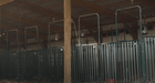 Panels & Gates - Lakeland Heavy Duty Spindle Penning Panel - Lakeland Farm and Ranch