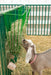 Panels & Gates - Lakeland Heavy Duty Spindle Penning Panel - Lakeland Farm and Ranch