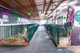 Panels & Gates - Lakeland Heavy Duty Spindle Penning Panel with Man Door - Lakeland Farm and Ranch