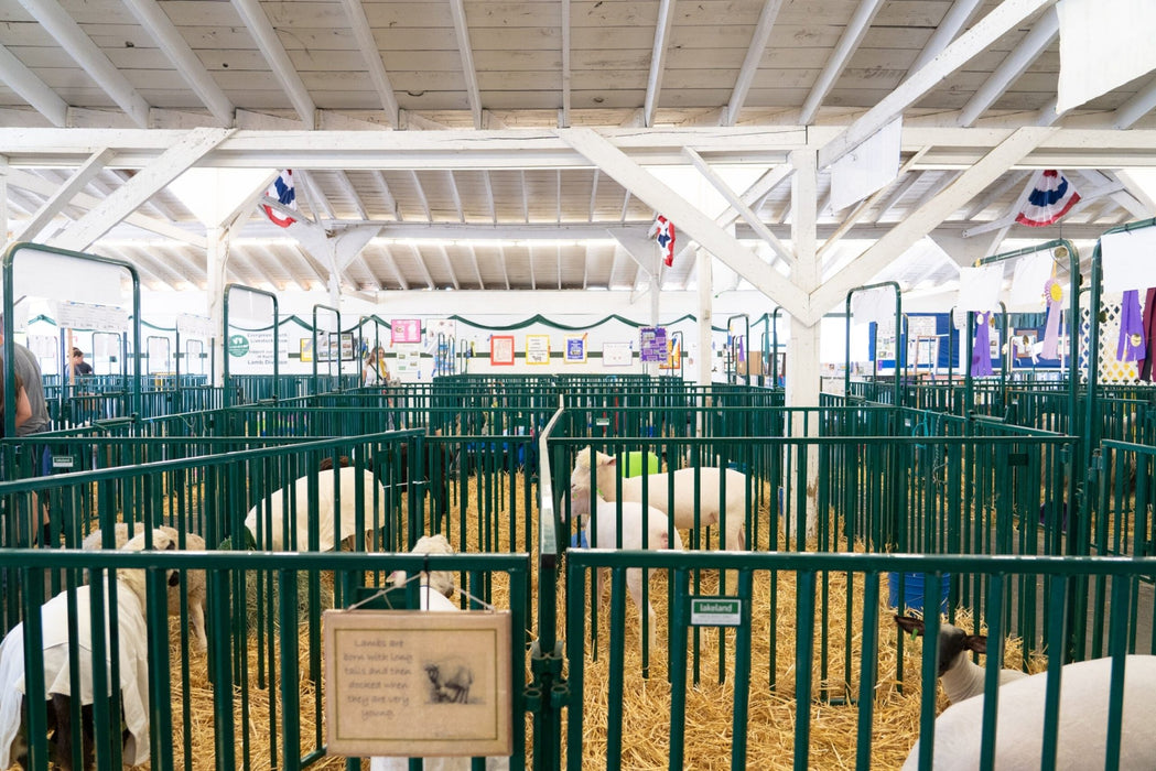 Panels & Gates - Lakeland Heavy Duty Spindle Penning Panel with Man Door - Lakeland Farm and Ranch