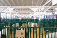 Panels & Gates - Lakeland Heavy Duty Spindle Penning Panel with Man Door - Lakeland Farm and Ranch