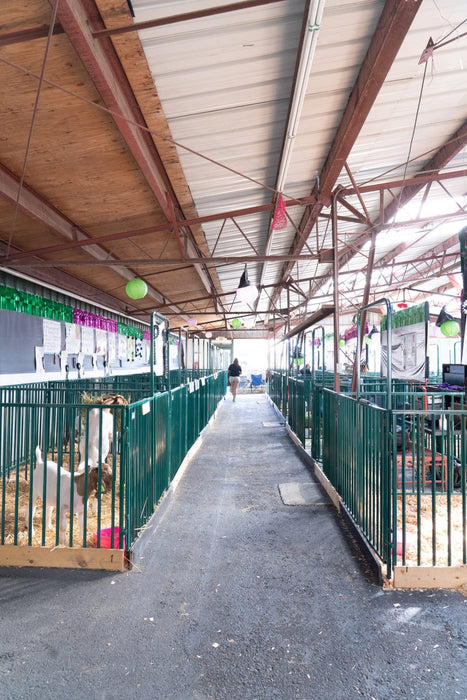 Panels & Gates - Lakeland Heavy Duty Spindle Penning Panel with Man Door - Lakeland Farm and Ranch