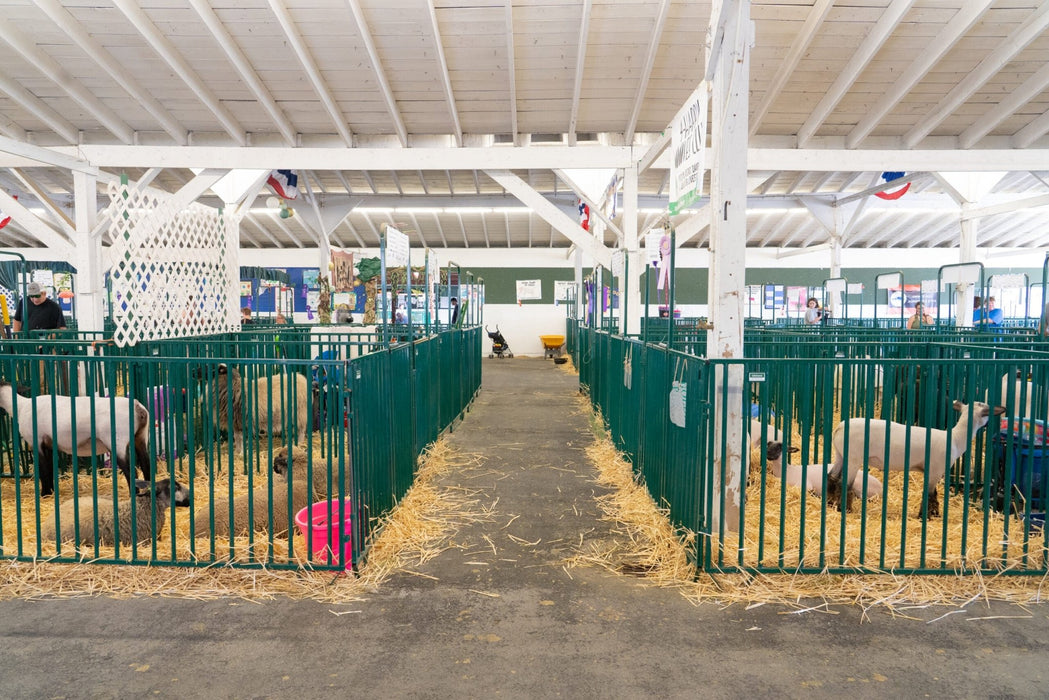 Panels & Gates - Lakeland Heavy Duty Spindle Penning Panel with Man Door - Lakeland Farm and Ranch