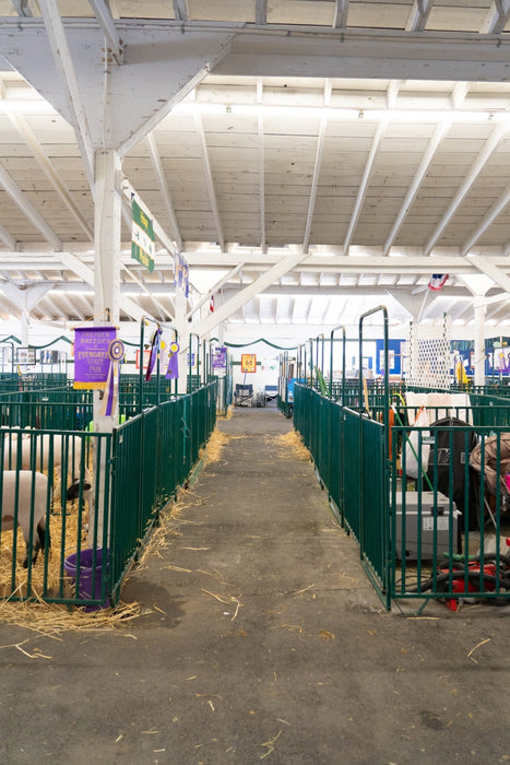 Panels & Gates - Lakeland Heavy Duty Spindle Penning Panel with Man Door - Lakeland Farm and Ranch