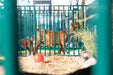 Panels & Gates - Lakeland Heavy Duty Spindle Penning Panel with Man Door - Lakeland Farm and Ranch