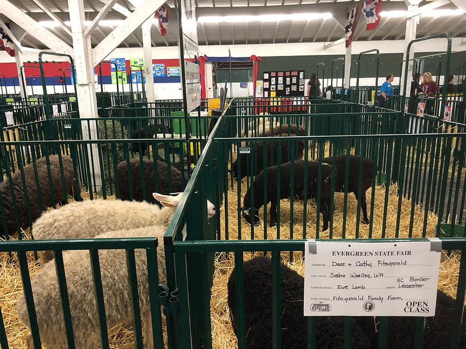 Panels & Gates - Lakeland Heavy Duty Spindle Penning Panel with Man Door - Lakeland Farm and Ranch