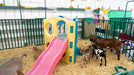 Panels & Gates - Lakeland Heavy Duty Spindle Penning Panel with Man Door - Lakeland Farm and Ranch