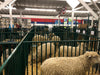 Panels & Gates - Lakeland Heavy Duty Spindle Penning Panel with Man Door - Lakeland Farm and Ranch