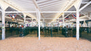 Panels & Gates - Lakeland Heavy Duty Spindle Penning Panel with Man Door - Lakeland Farm and Ranch