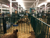 Panels & Gates - Lakeland Heavy Duty Spindle Penning Panel with Man Door - Lakeland Farm and Ranch