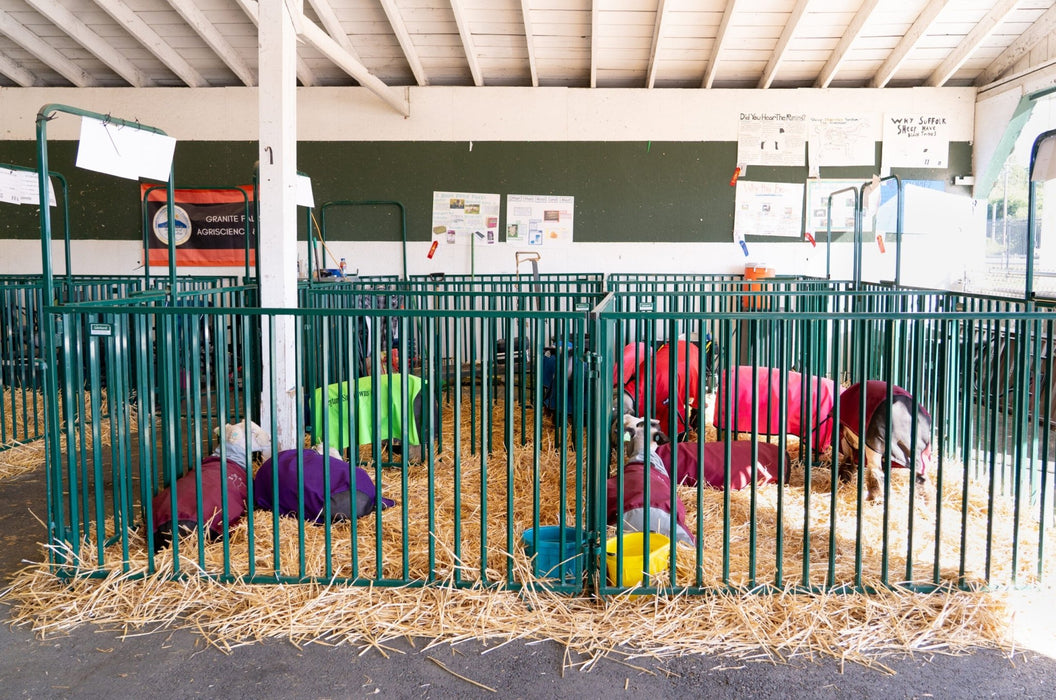 Panels & Gates - Lakeland Heavy Duty Spindle Penning Panel with Man Door - Lakeland Farm and Ranch