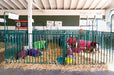 Panels & Gates - Lakeland Heavy Duty Spindle Penning Panel with Man Door - Lakeland Farm and Ranch