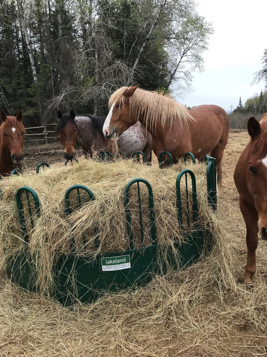Bale Feeders - Lakeland Heavy Duty Tombstone Round Bale Feeder - Lakeland Farm and Ranch