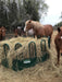 Bale Feeders - Lakeland Heavy Duty Tombstone Round Bale Feeder - Lakeland Farm and Ranch