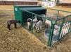 Creep Feeder - Lakeland Lamb Creep Feeder - Lakeland Farm and Ranch