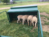 Creep Feeder - Lakeland Lamb Creep Feeder - Lakeland Farm and Ranch