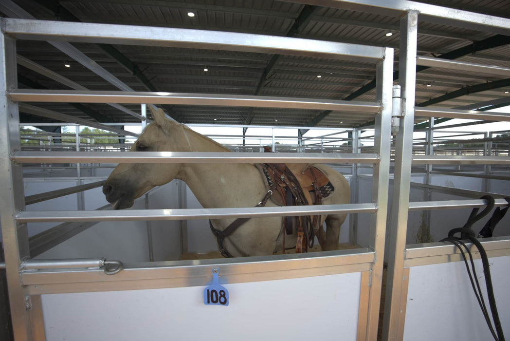 Horse Stalls - Lakeland Portable Competition Horse Stalls - Lakeland Farm and Ranch