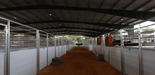 Horse Stalls - Lakeland Portable Competition Horse Stalls - Lakeland Farm and Ranch