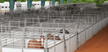Horse Stalls - Lakeland Portable Competition Horse Stalls - Lakeland Farm and Ranch
