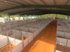 Horse Stalls - Lakeland Portable Competition Horse Stalls - Lakeland Farm and Ranch