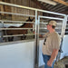 Horse Stalls - Lakeland Portable Competition Horse Stalls - Lakeland Farm and Ranch