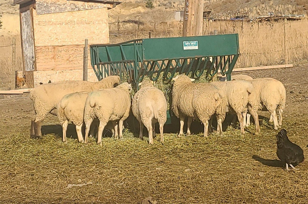 Bale Feeders - Lakeland Round Bale Feeder - Lakeland Farm and Ranch