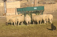 Bale Feeders - Lakeland Round Bale Feeder - Lakeland Farm and Ranch