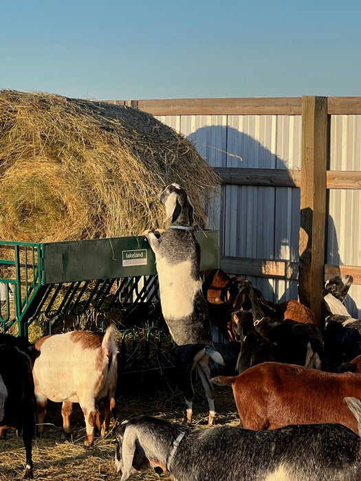 Bale Feeders - Lakeland Round Bale Feeder - Lakeland Farm and Ranch