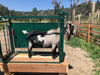 Head Gates - Lakeland Self Catch Headgate and Chute - Lakeland Farm and Ranch