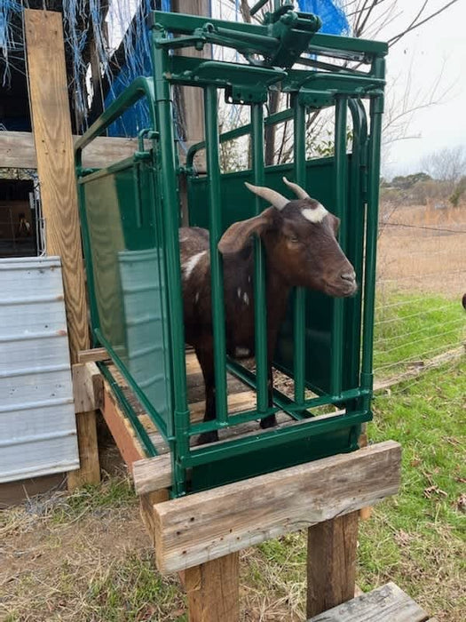 Head Gates - Lakeland Self Catch Headgate and Chute - Lakeland Farm and Ranch