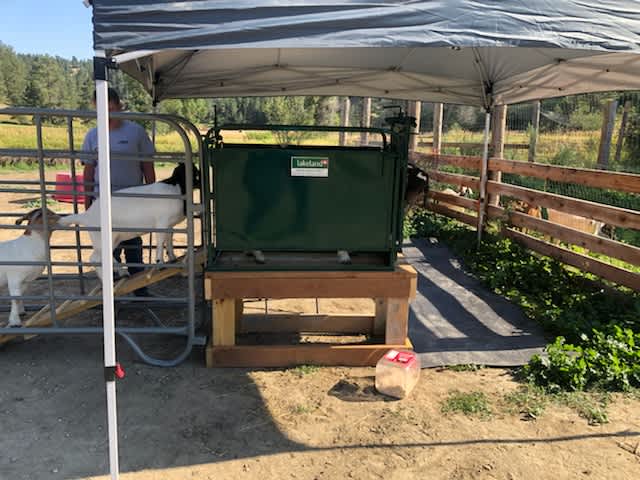 Head Gates - Lakeland Self Catch Headgate and Chute - Lakeland Farm and Ranch