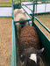 Head Gates - Lakeland Self Catch Headgate and Chute - Lakeland Farm and Ranch